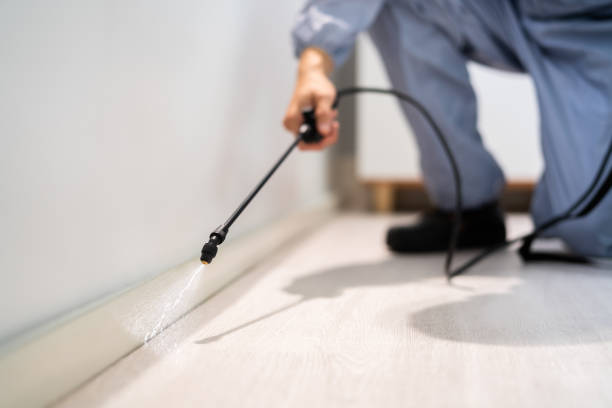 Licensed Termite Control service in Beggs, OK - Nex Pest Control