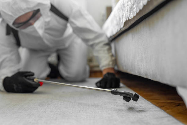 Professional Termite Control technician working in Beggs, OK