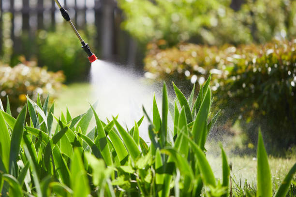 24/7 Emergency Termite Control experts in Beggs, OK