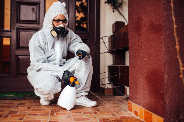 Reliable Termite Control contractor in Beggs, OK by Nex Pest Control