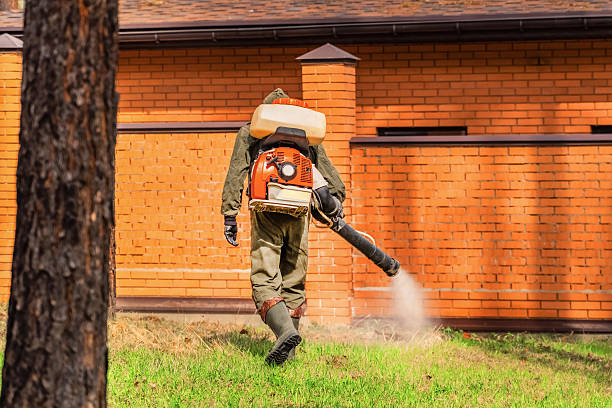 Top rated local Termite Control specialists in Beggs, OK